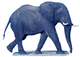 éléphant