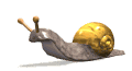 un escargot qui rampe