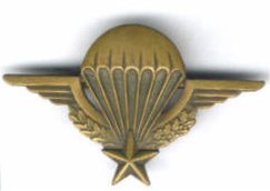 Brevet para français